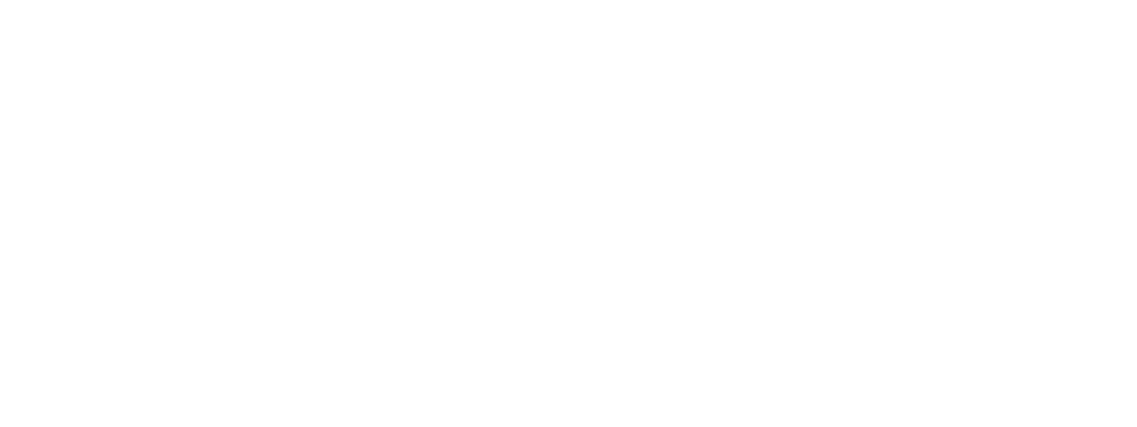 bitcon ltd logo upscaled white